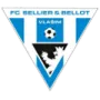 Vlašim