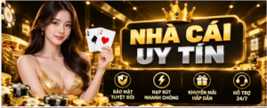 Trusted Betting Sites and the Criteria Users Should Review